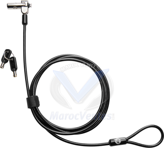 Serrure de Câble à Clé HP Nano 1AJ39AA