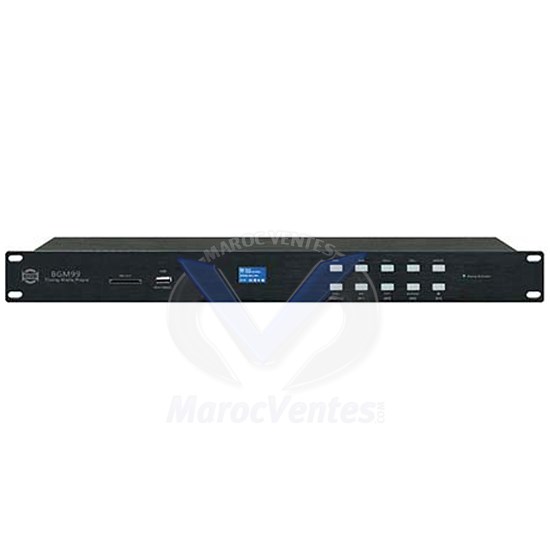 LECTEUR MULTIMEDIA USB-FM-REC PRO BGM-99