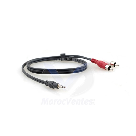 Câble Adaptateur : Mini–Jack 3.5mm (M) vers 2 x RCA (M) C-A35M/2RAM-25