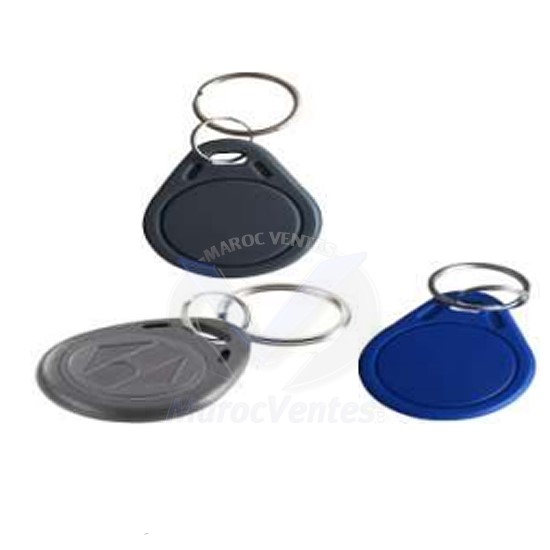 PORTE CLES R EM 125KHZFID TYPE KEYFOB COULEURS BLEU/GRIS/NOIR SANS  SN D3303KF