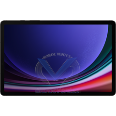 SAMSUNG Galaxy Tab S9 11" 12+256GB Graphite SM-X716BZAEMWD