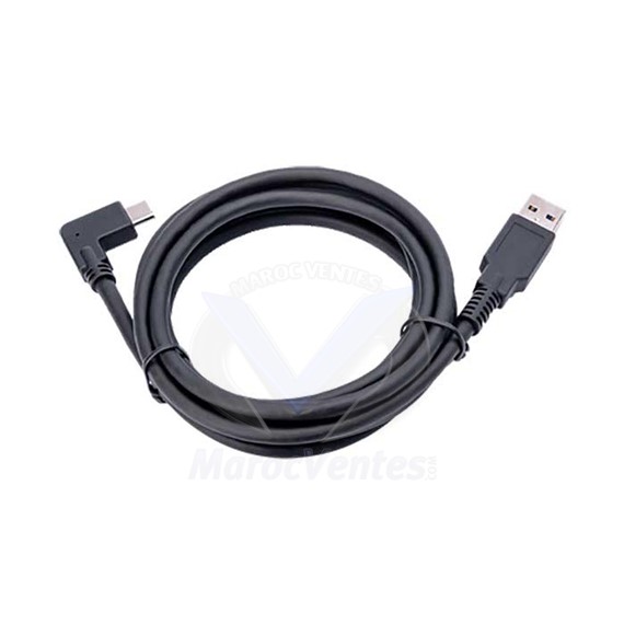 Câble USB 1.8m pour Caméra Jabra Panacast 14202-09