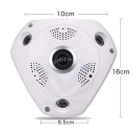 Caméra IP PTZ 1.3 MP sans Fil D2846