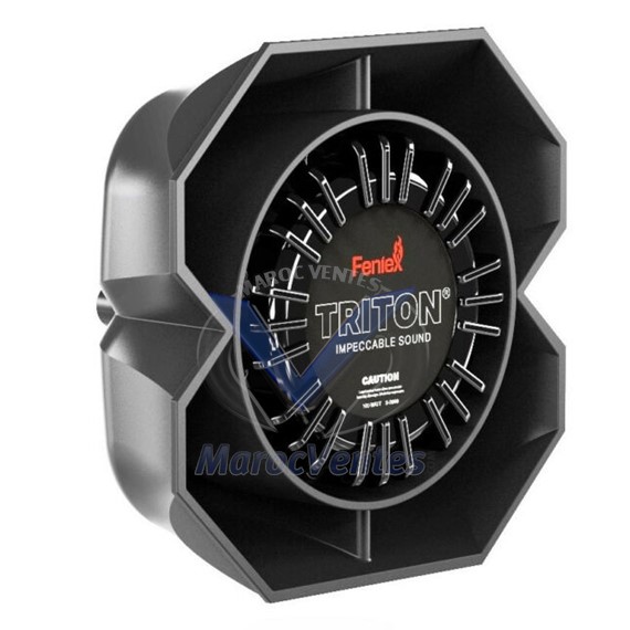 Haut-parleur triton 100W S-2009